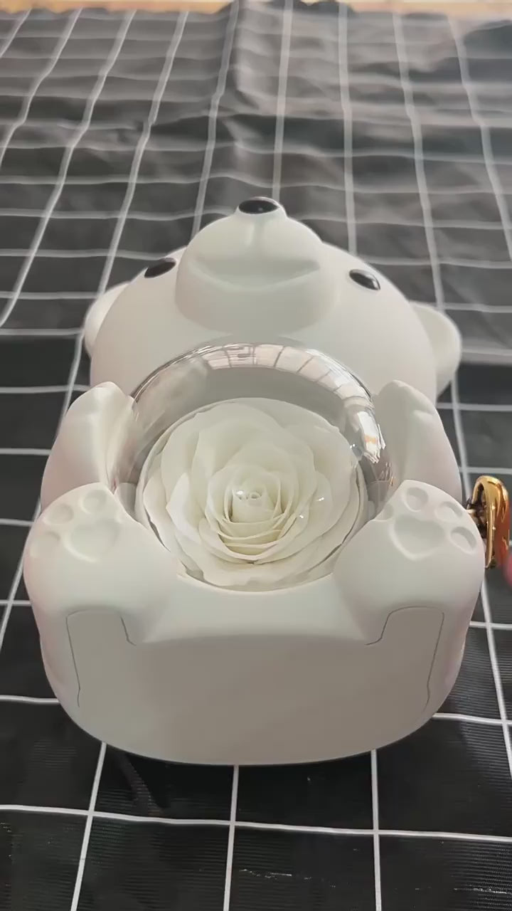 "Orsacchiotto dell'Amore con Rosa Eterna e Portagioie Girevole: Set con Collana Regalo per San Valentino, Matrimonio e Anniversario (Fidanzata, Mamma e Amiche)"